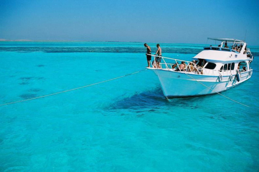 Snorkeling Trip at Port Ghalib Marina from Marsa Alam
